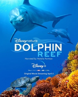 Dolphin Reef-watch