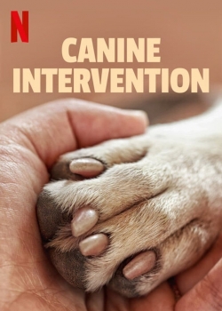 Canine Intervention-watch