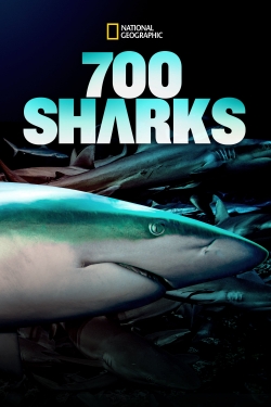 700 Sharks-watch