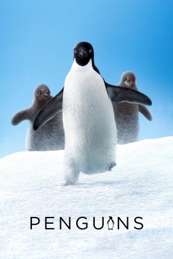 Penguins-watch