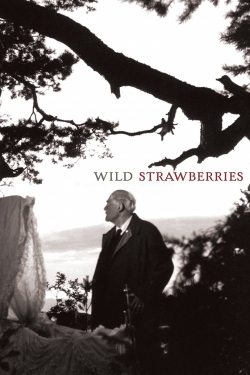 Wild Strawberries-watch