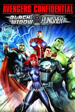 Avengers Confidential: Black Widow & Punisher-watch