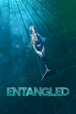 Entangled: The Race to Save Right Whales from Extinction-watch