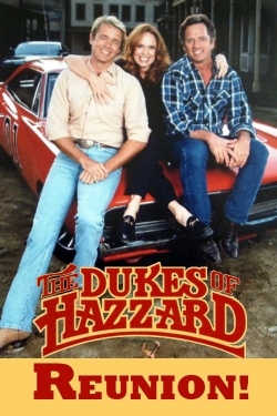 The Dukes of Hazzard: Reunion!-watch