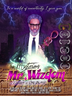The Mysterious Mr. Wizdom-watch