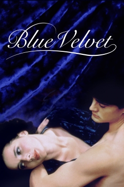 Blue Velvet-watch