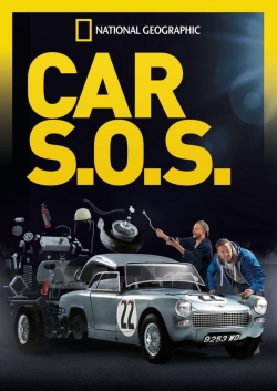 Car S.O.S.-watch