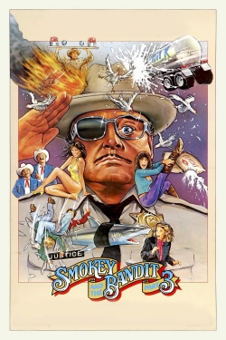 Smokey and the Bandit Part 3-watch