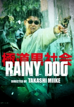 Rainy Dog-watch