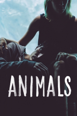 Animals-watch
