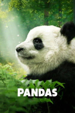 Pandas-watch