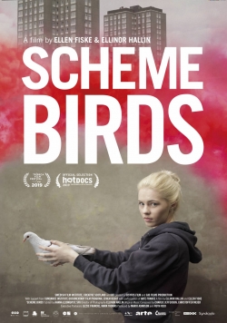 Scheme Birds-watch