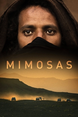 Mimosas-watch