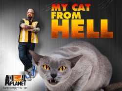 My Cat from Hell-watch