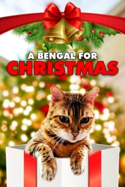 A Bengal for Christmas-watch