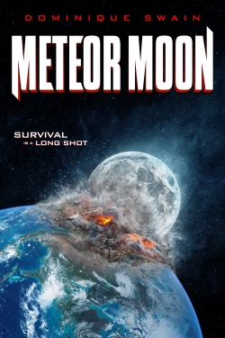 Meteor Moon-watch