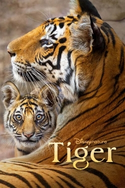 Tiger-watch