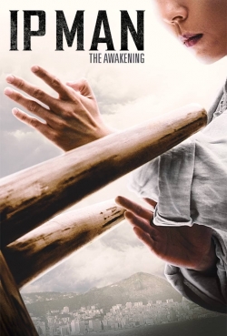 Ip Man: The Awakening-watch
