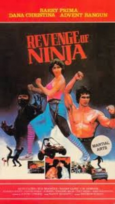 Revenge of the Ninja-watch