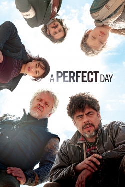 A Perfect Day-watch
