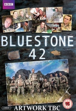 Bluestone 42-watch