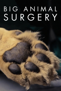Big Animal Surgery-watch