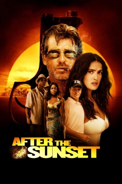 After the Sunset-watch