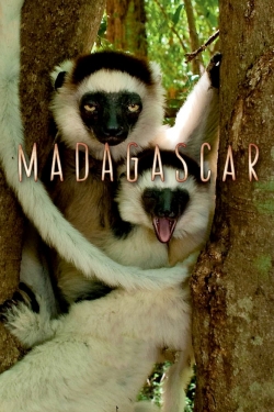 Madagascar-watch