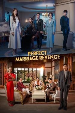 Perfect Marriage Revenge-watch