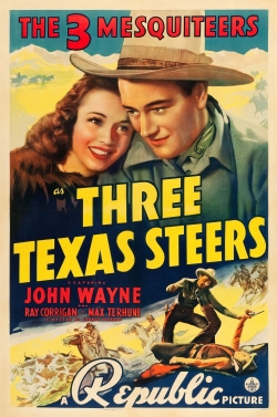 Three Texas Steers-watch