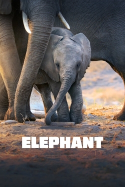 Elephant-watch
