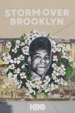 Yusuf Hawkins: Storm Over Brooklyn-watch