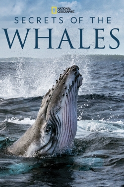 Secrets of the Whales-watch