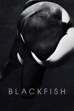 Blackfish-watch