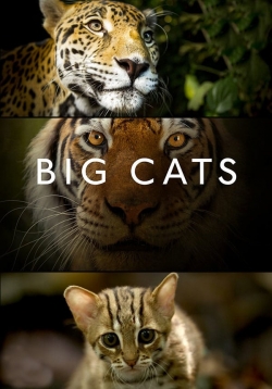 Big Cats-watch