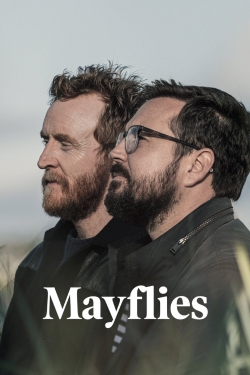 Mayflies-watch