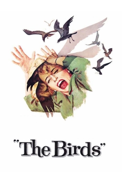 The Birds-watch