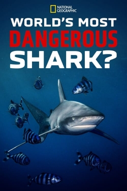World's Most Dangerous Shark?-watch