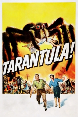 Tarantula-watch