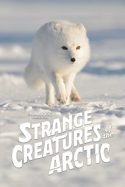 Strange Creatures of the Arctic-watch
