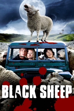 Black Sheep-watch