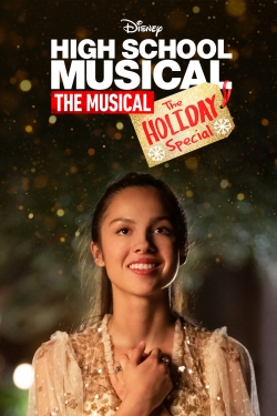 High School Musical: The Musical: The Holiday Special-watch