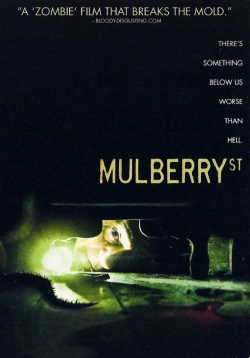 Mulberry Street-watch
