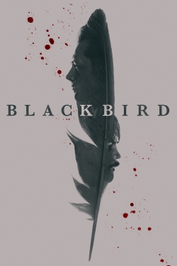 Black Bird-watch