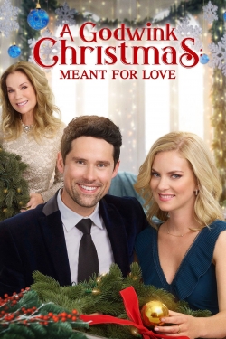 A Godwink Christmas: Meant For Love-watch