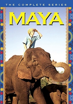 Maya-watch