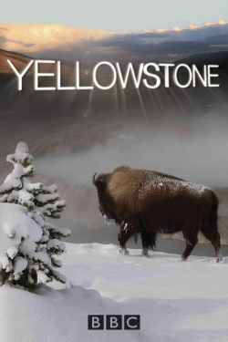 Yellowstone-watch