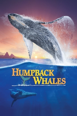 Humpback Whales-watch