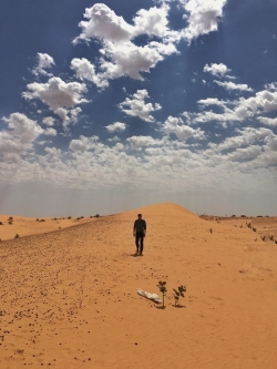 Sahara-watch