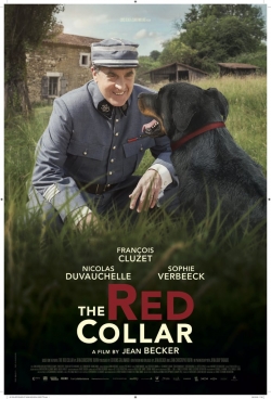 The Red Collar-watch